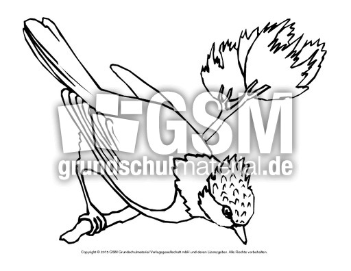 Ausmalbild-Haubenmeise.pdf